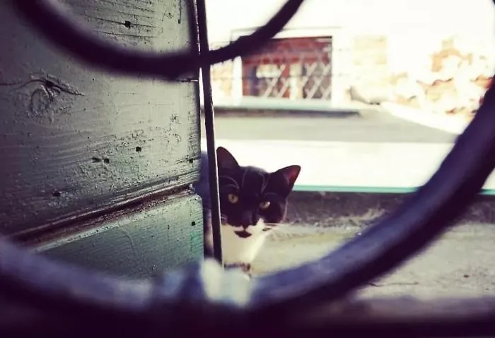 Affittacamere Castello 3*